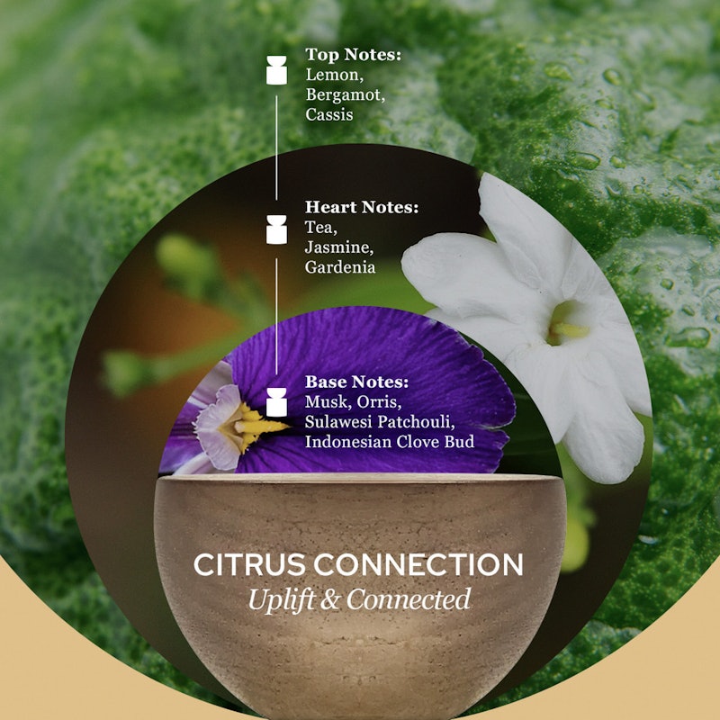 Earth Love Life Citrus Connection 4