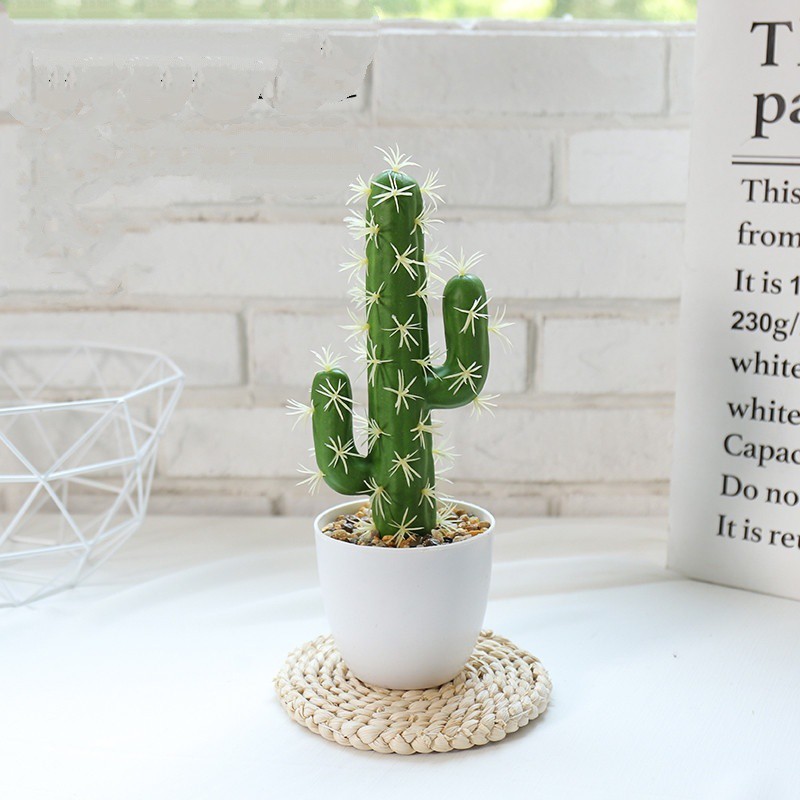 Kunataruma Kaktus Jumbo Mini