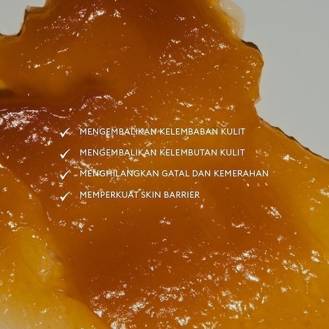 Honey Melt Facial Mask 3