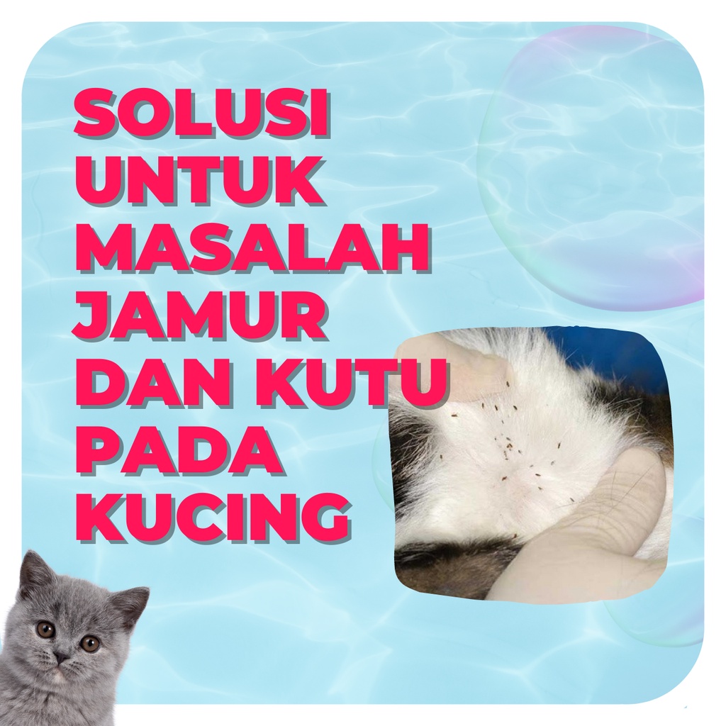 Minara Cats Supply Minara Cats Supply Shampoo Grooming 2in1 Strawberry