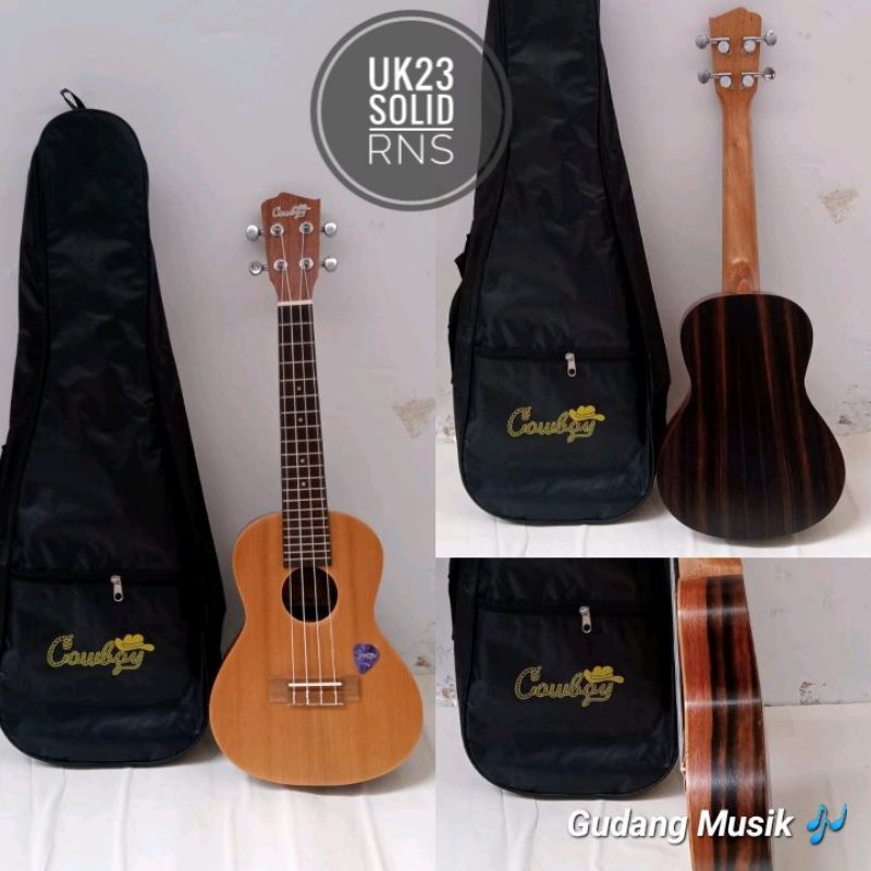 Concert Ukulele 23  5