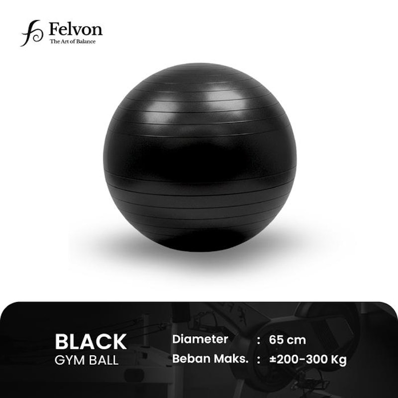 Felvon Gym Ball Premium 65 cm 3