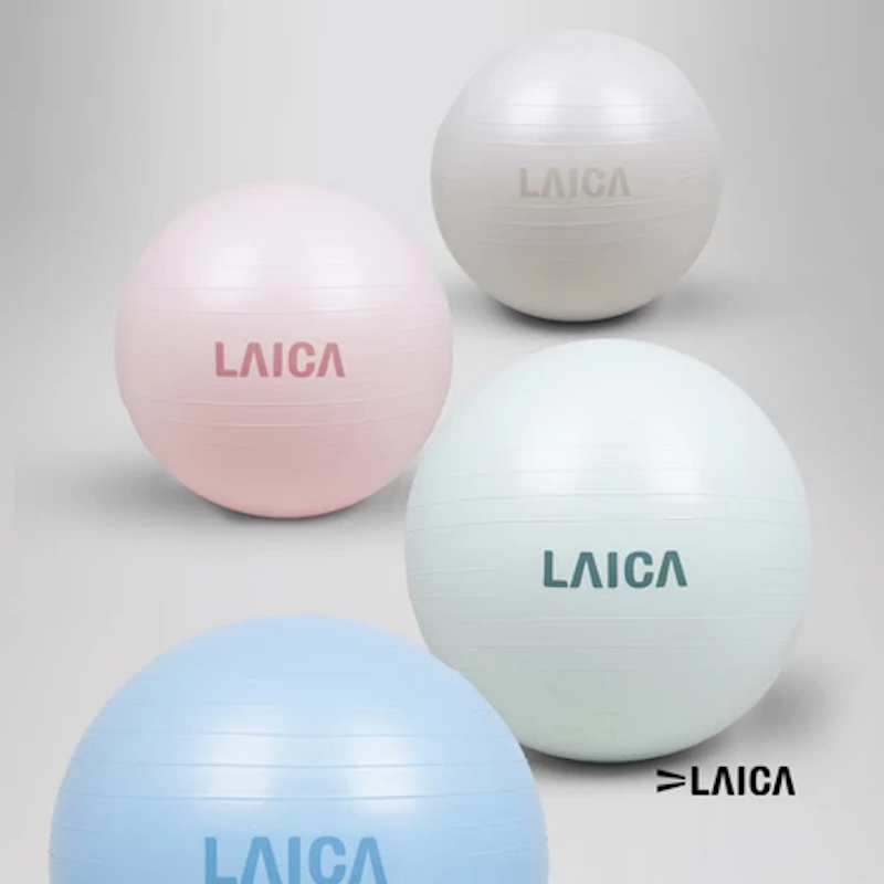 LAICA Gym Ball 2
