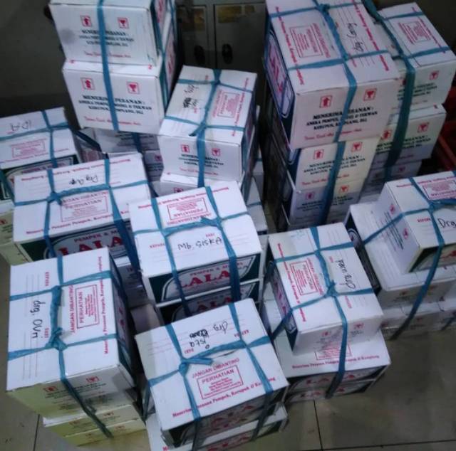 Pempek Lala Paket Isi 40 pcs Pempek Campur