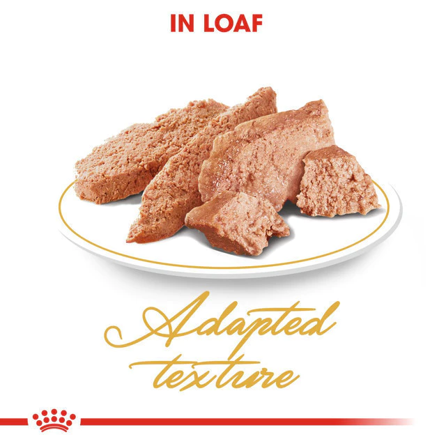 Royal Canin Persian Adult Wet Food 2