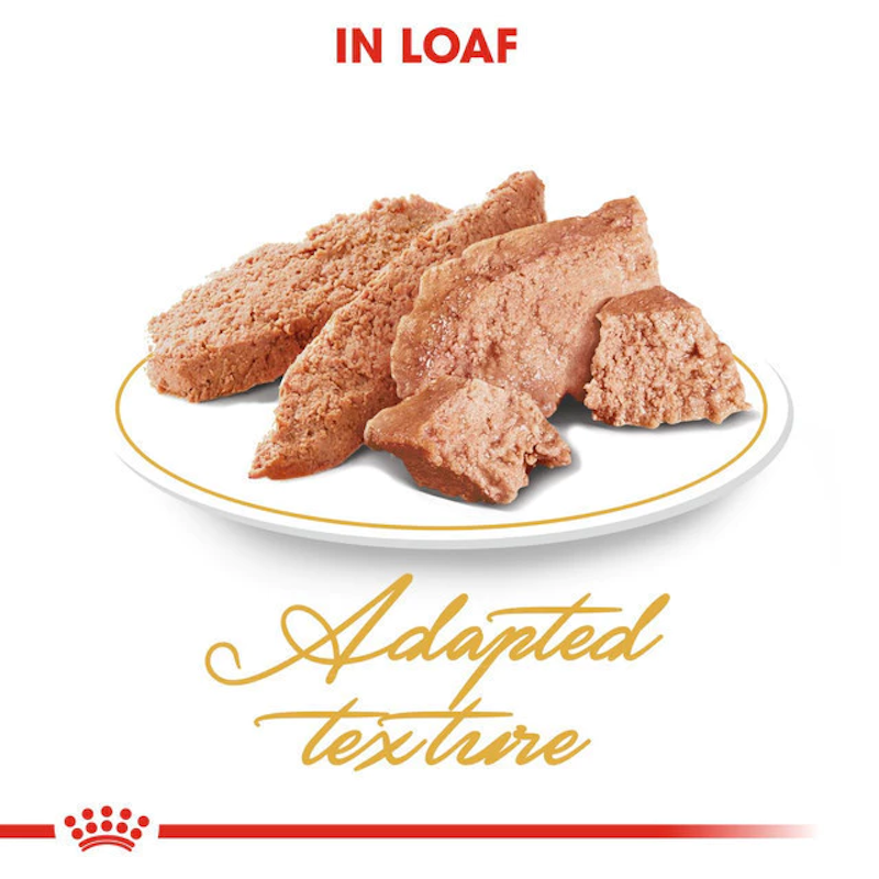 Royal Canin Persian Adult Wet Food 2