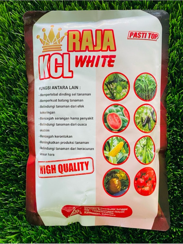 Raja Pupuk KCL White 5