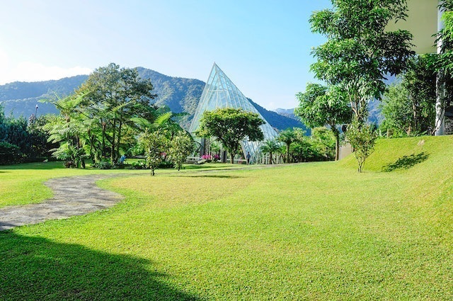 Amaryllis Boutique Resort 3