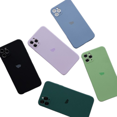 Case iPhone 11 Pro Max