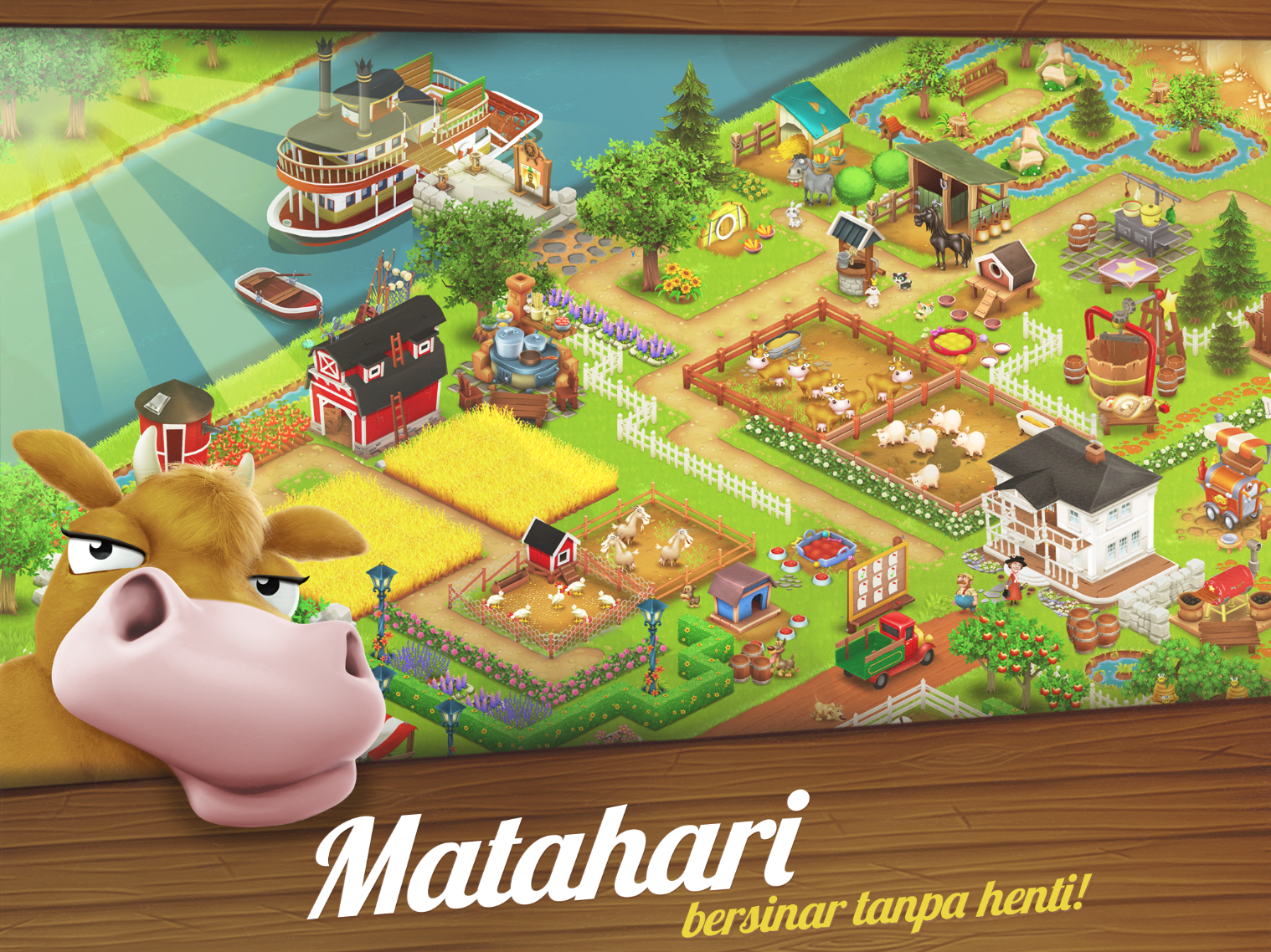Hay Day 5