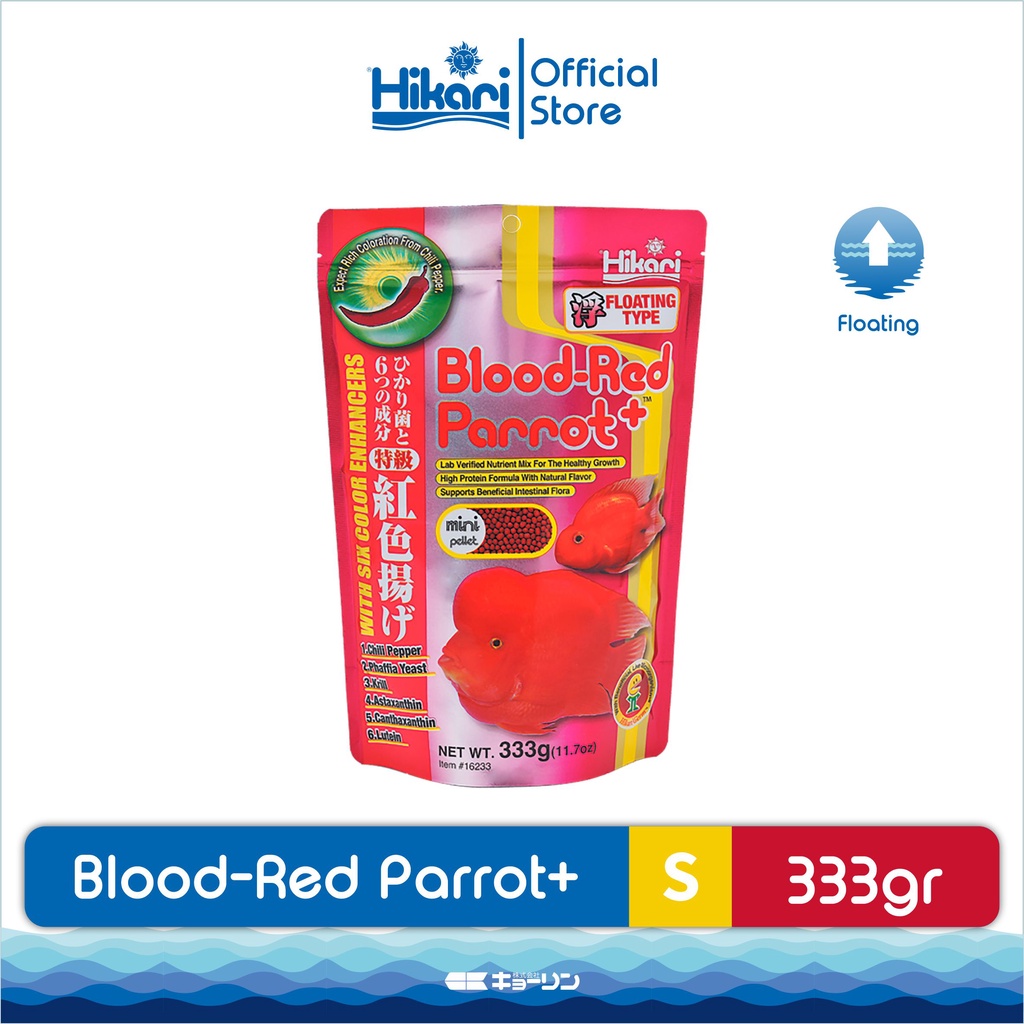 Blood Red Parrot Mini
