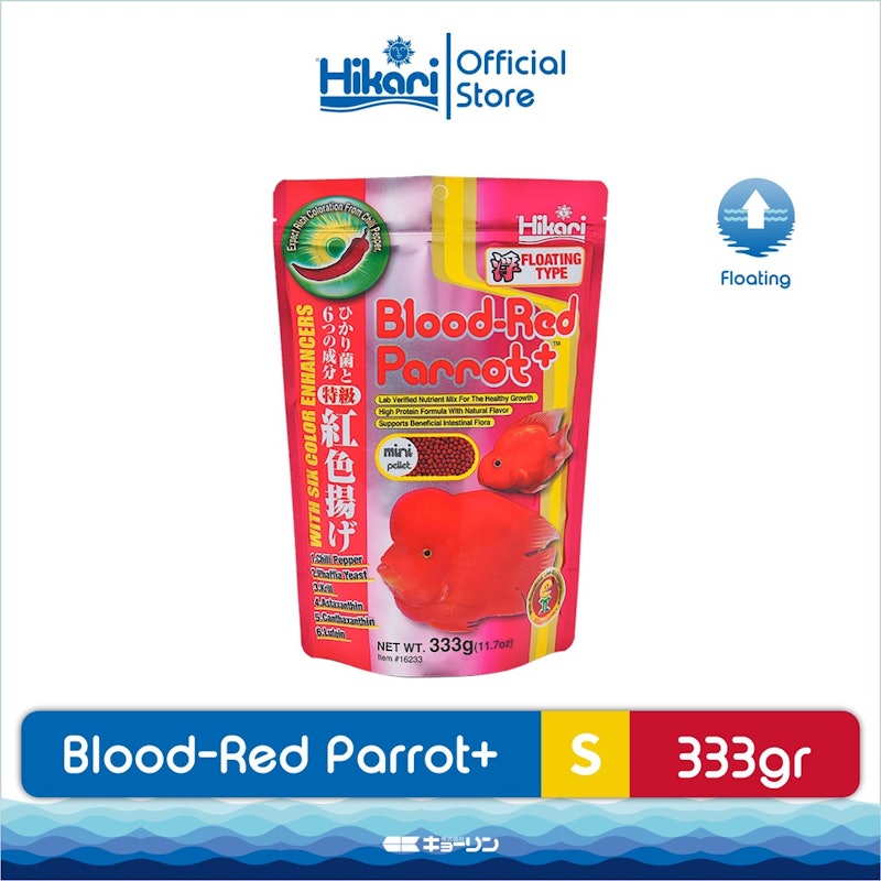 Blood Red Parrot Mini 2