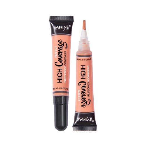 Saniye High Coverage Waterproof Concealer #10