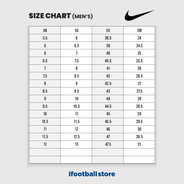 Nike Premier 3 FG AT5889-010