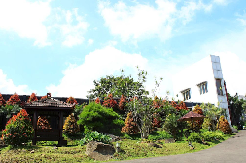 The Rizen Hotel 1