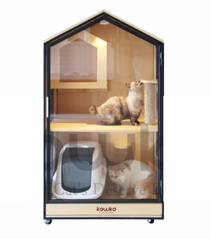Nagano Cat Aquarium 1