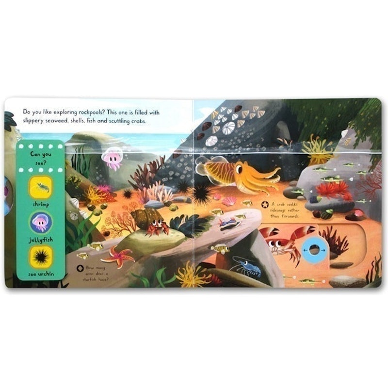 First Explorers - Sea Creatures 3