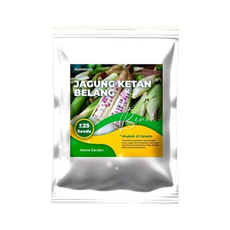 AYOTANAM Benih Jagung Ketan Belang 1
