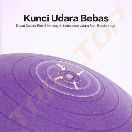  TrailTop Gym Ball Yoga