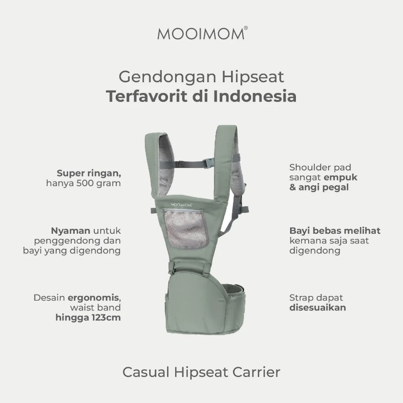 Casual Hipseat Carrier 2