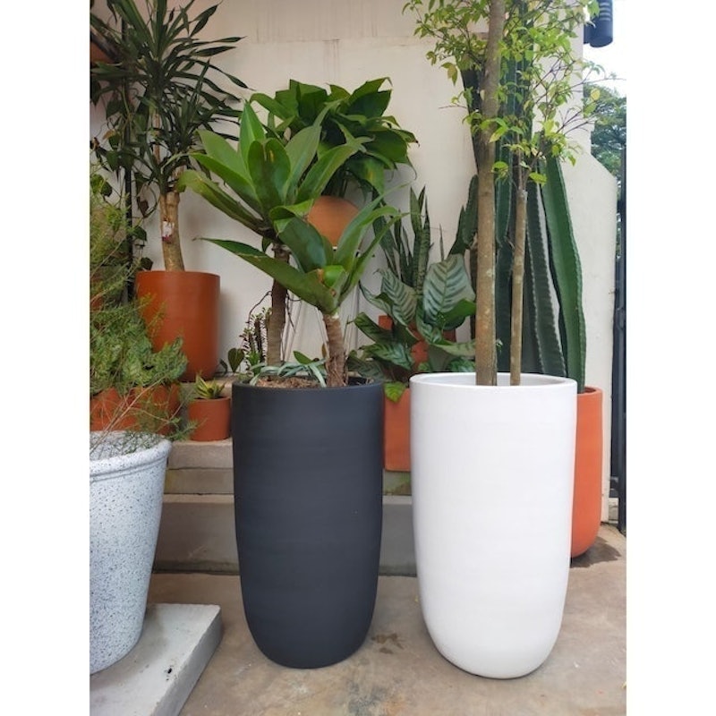 Pot tanaman terakota premium kapsul 2
