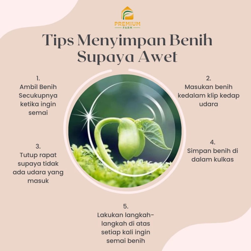 Premium Farm Benih Cabe Rawit Merah F1 5