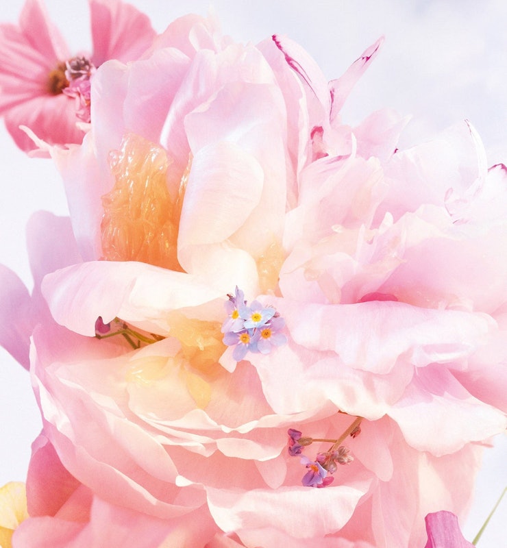 Miss Dior Blooming Bouquet Eau de Toilette 4
