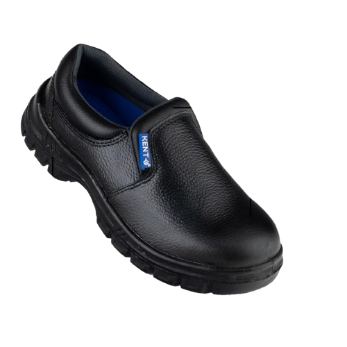 NAVIGO KENT PAPUA ｜ 78106