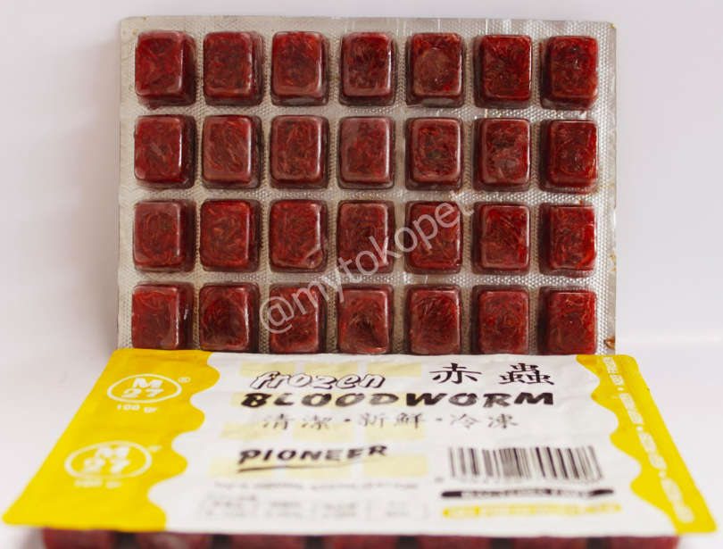 Pioneer Frozen Bloodworm