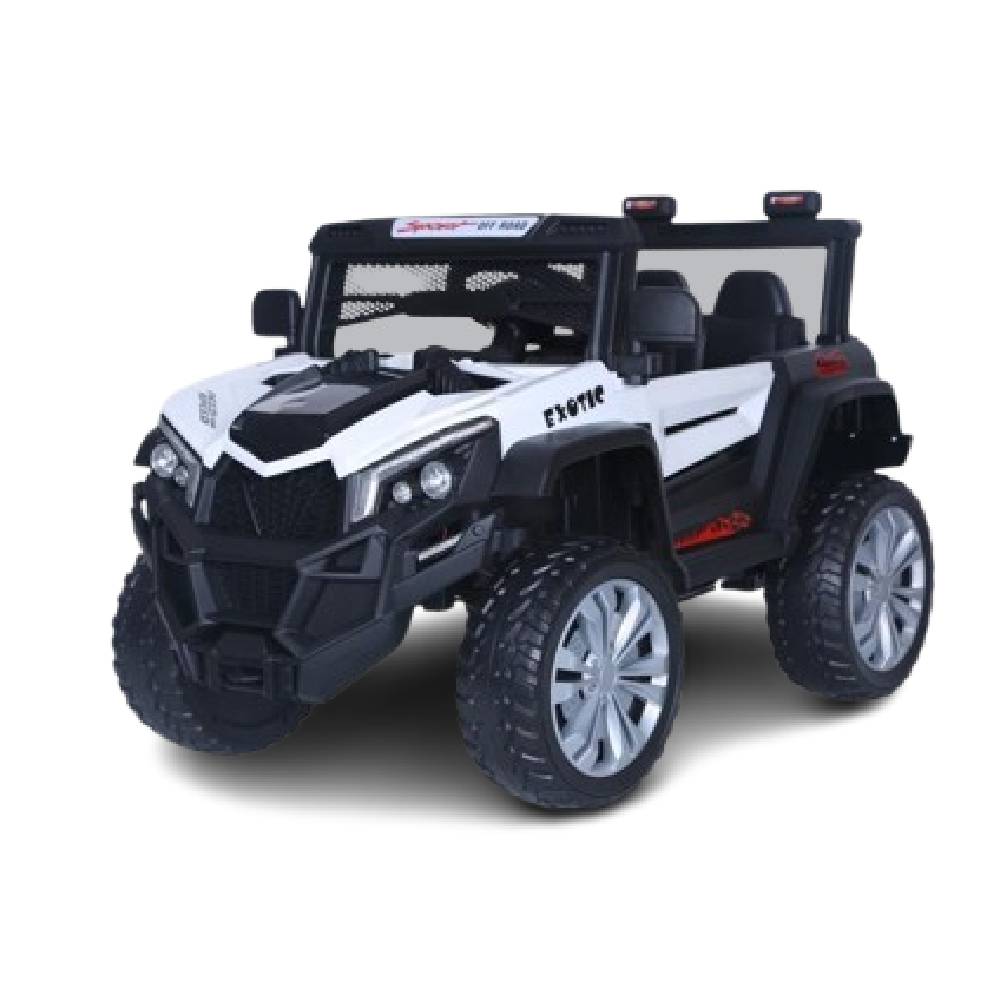 Exotic Jeep 1