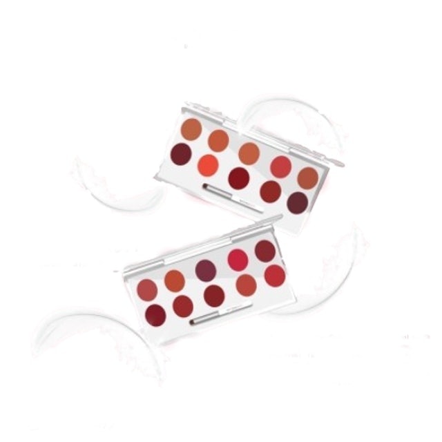 Natcha Beauty Professional Lip Cream Palette