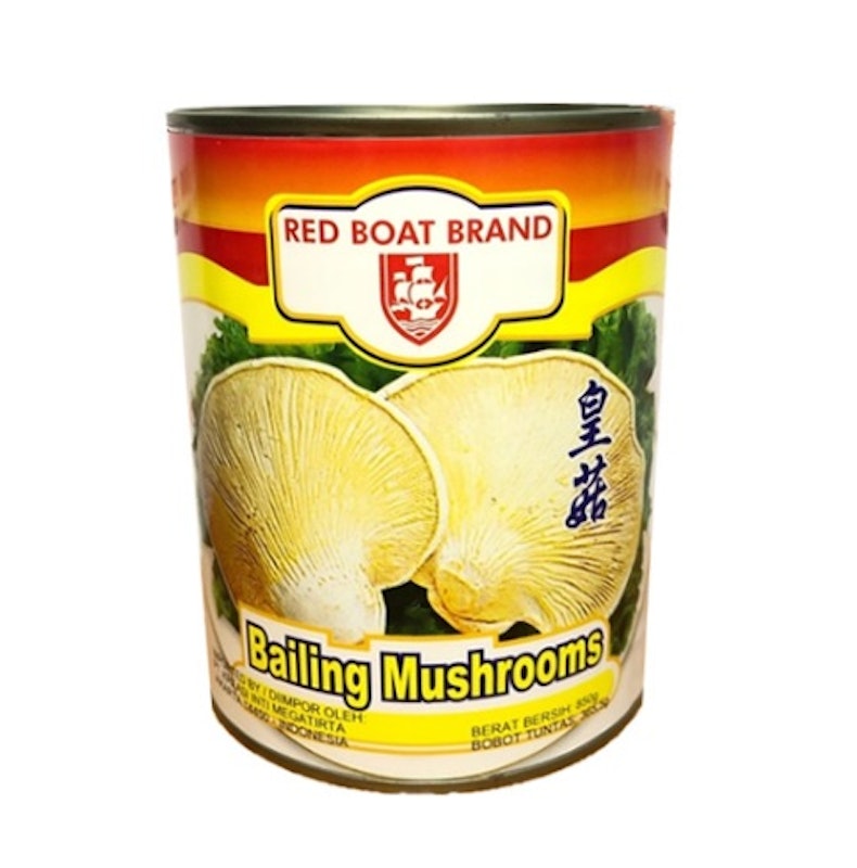 Bailing Mushroom 1