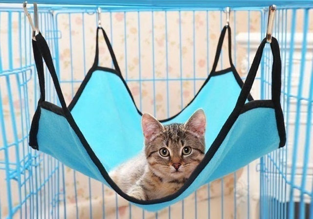 Pet Hanger + 4 Hanger