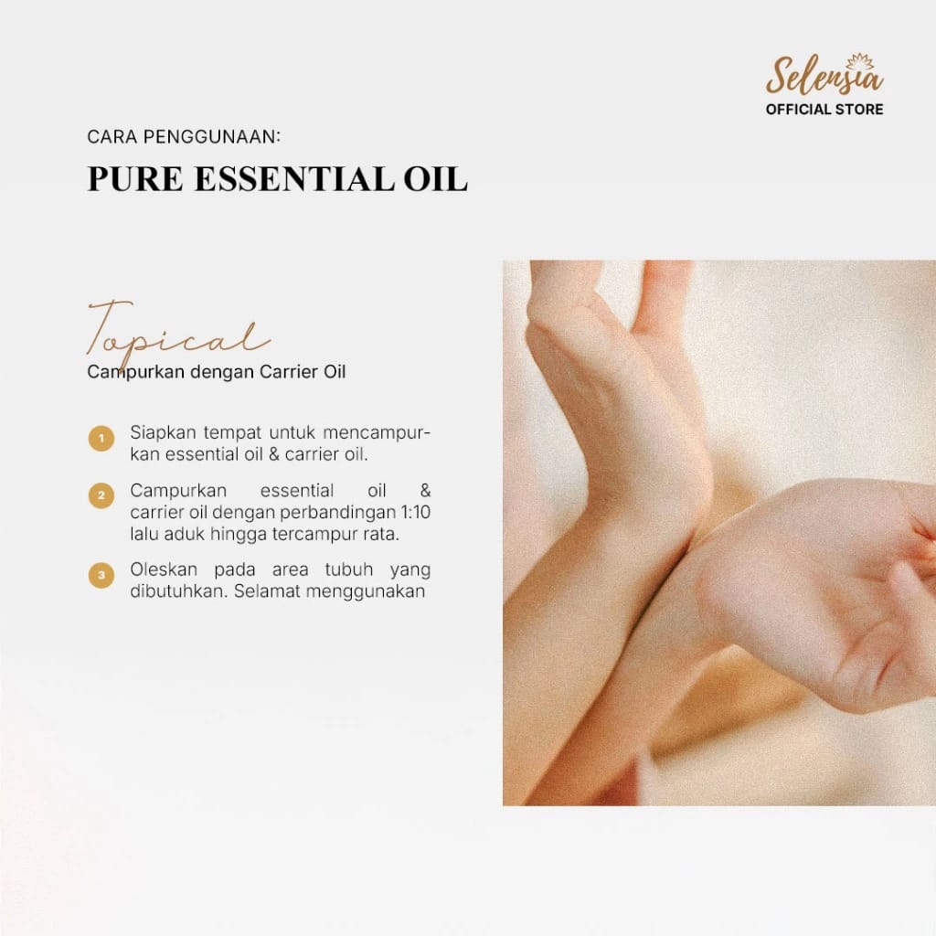 Sinkona Indonesia Lestari  Selensia Ginger Pure Essential Oil 