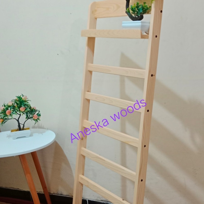 Ladder Hanger 2