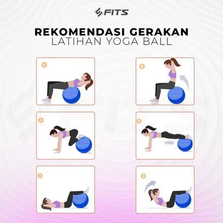 Dynamo Media Network FITS Gym Ball Half Massage Point