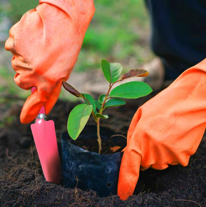 Viva Tehnik Mandiri Kenmaster Paket Berkebun BUND-0224