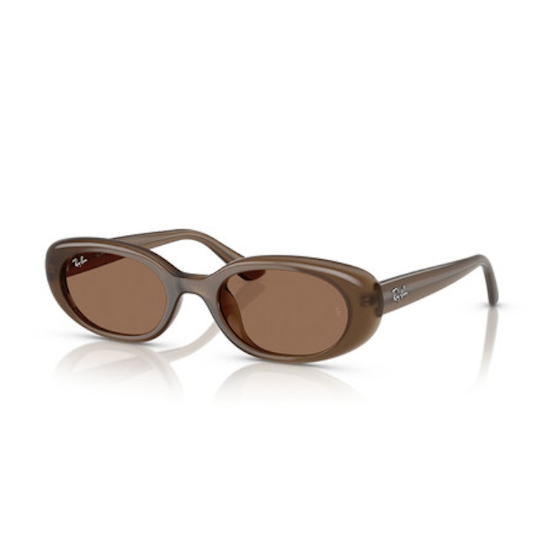 Ray-Ban Sunglasses 1