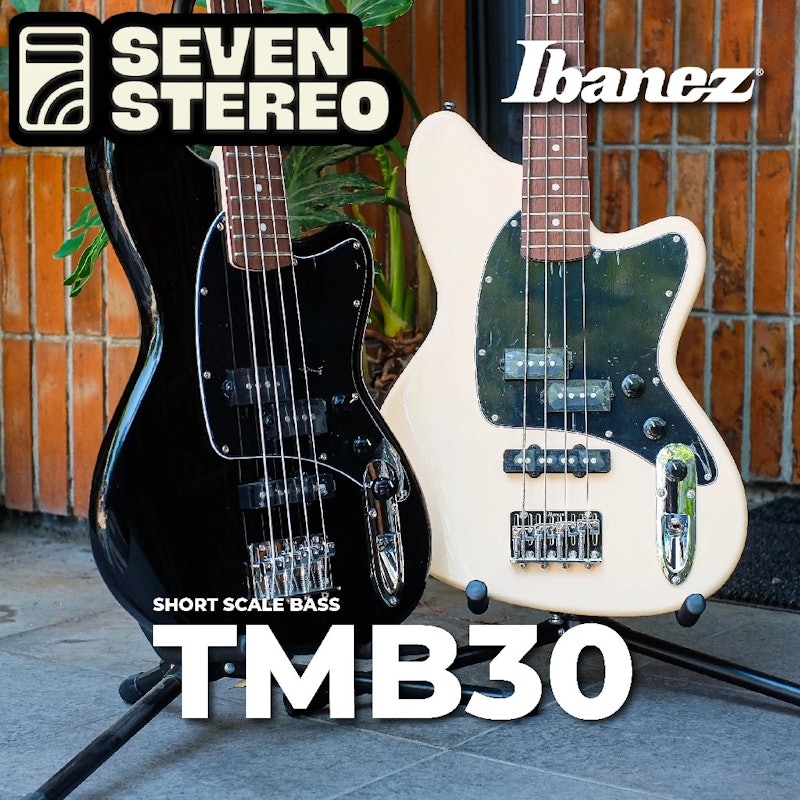 Ibanez Talman Bass 5