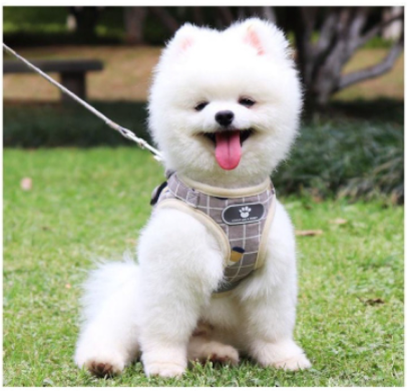 Rompi Harness Reflektif 2