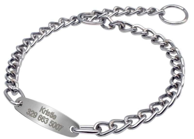 Personalized Dog Chain Name Tag 1