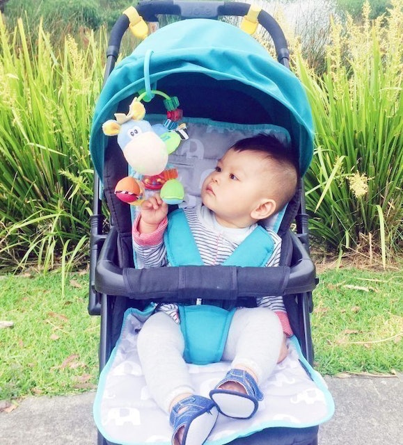 Playgro Clip Clop Activity Rattle