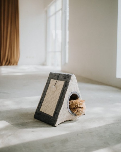 Chatte Series