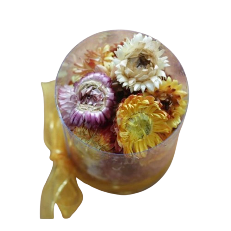 CHRYSTEA Colourful Chrysanthemum Tea Sachet 1