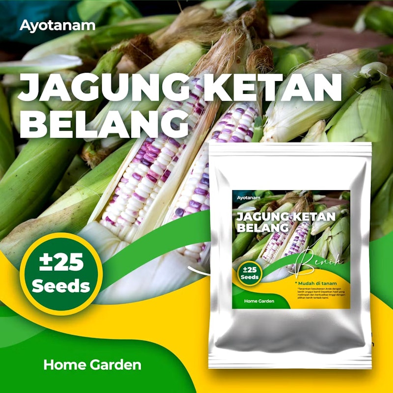 AYOTANAM Benih Jagung Ketan Belang 2