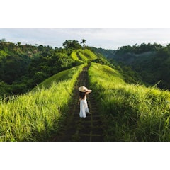 Campuhan Ridge Walk