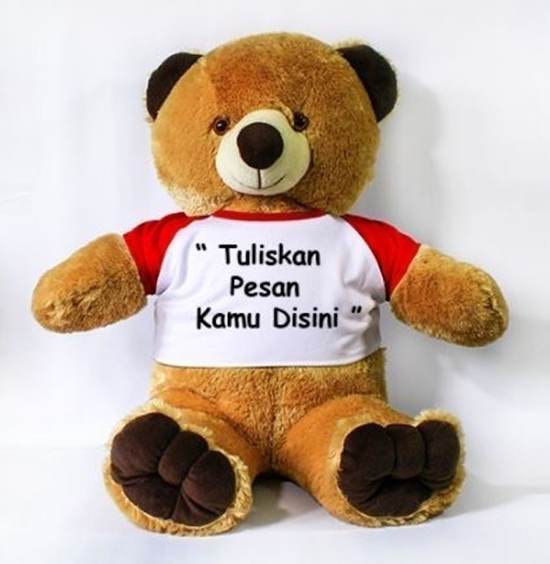 Boneka Beruang Tedi Bear Besar Custom 2