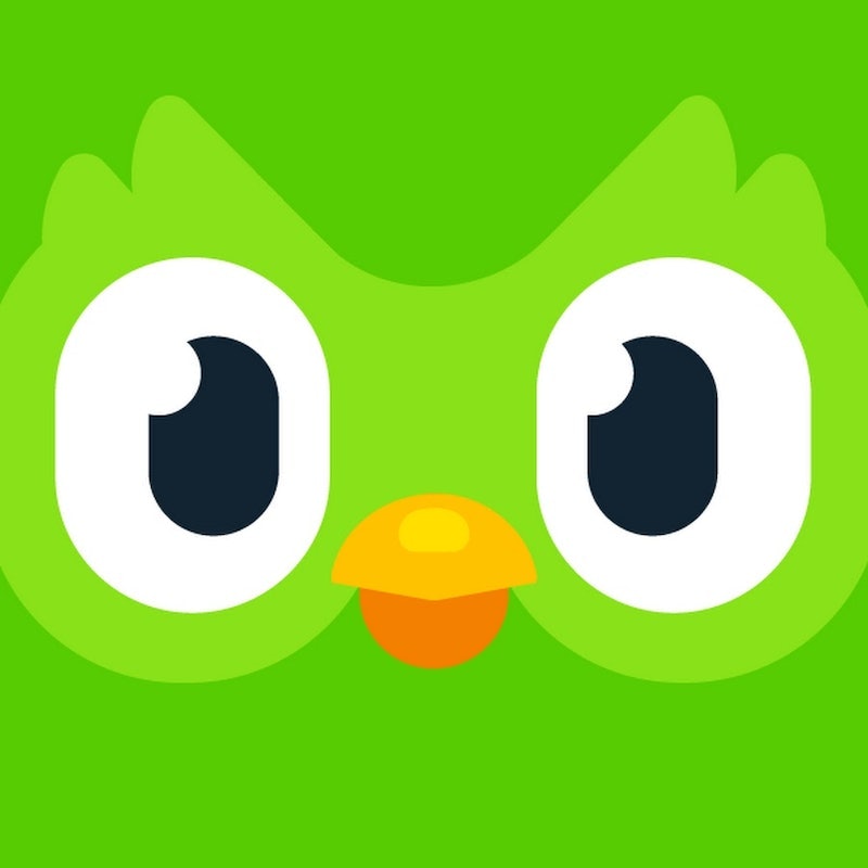 Duolingo - Language Lessons 1