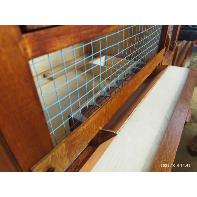  Kandang Anak Ayam Petelur DOC