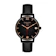Lanccelot Seahorse Queen of Pollux 1